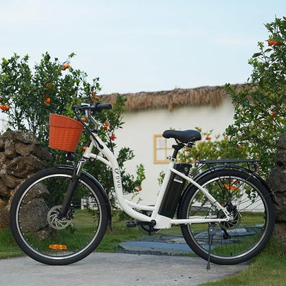 DYU C6 Upgraded Electric Bike