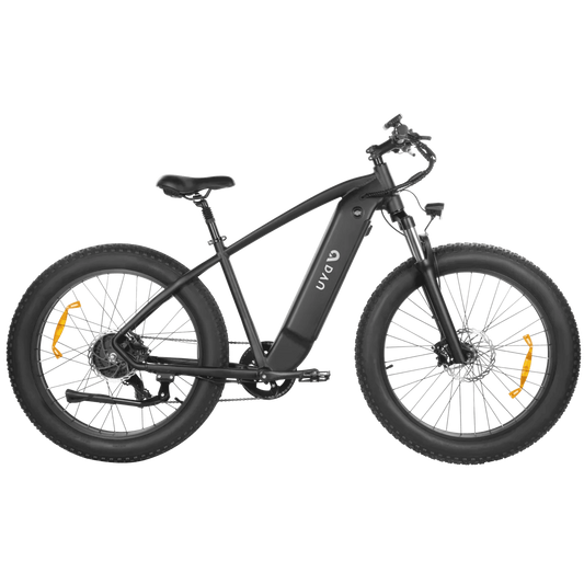 DYU King 750 Mountain Electric Bike