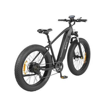 DYU King 750 Mountain Electric Bike