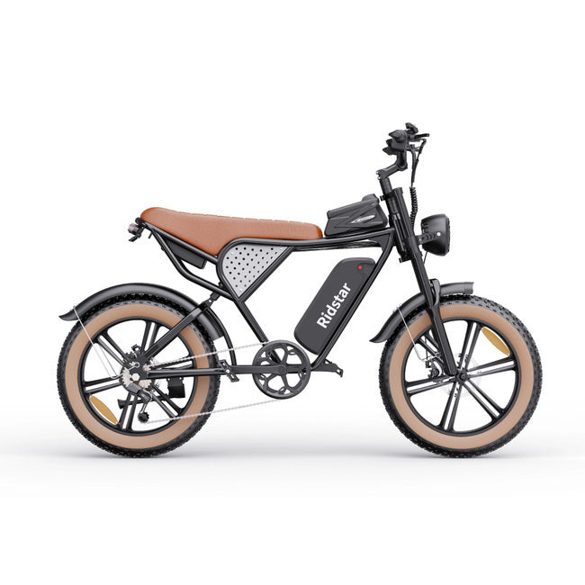 Ridstar Q20 Luxe Electric Bike