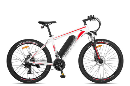 Fafrees F28 MT Mountain Electric Bike-Vostro Cycles