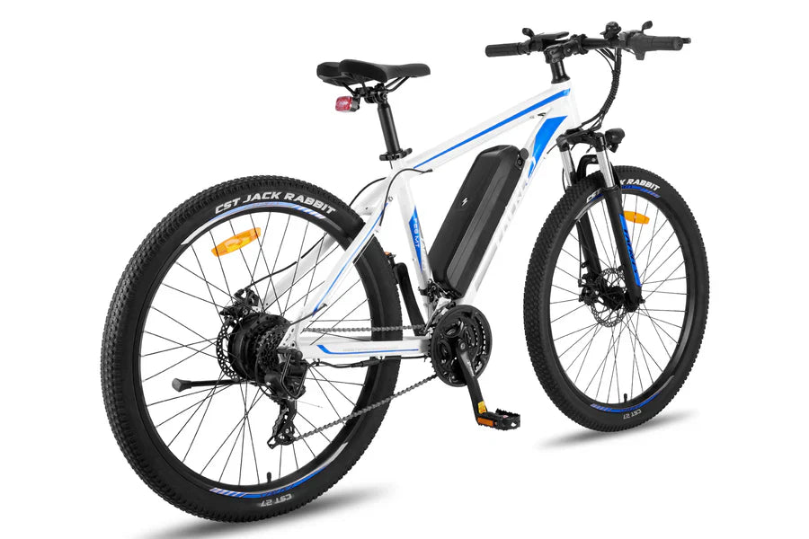 Fafrees F28 MT Mountain Electric Bike-Vostro Cycles