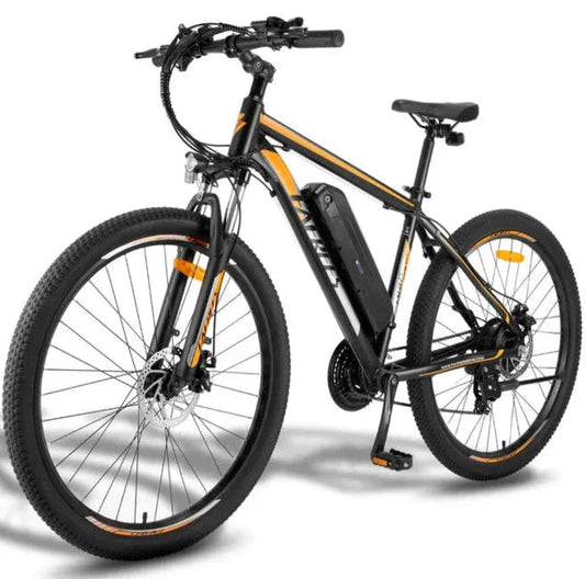 Fafrees F28 MT Mountain Electric Bike-Vostro Cycles