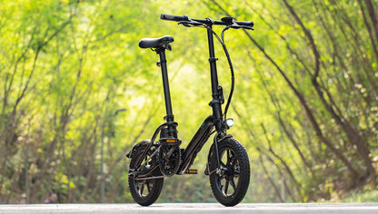 FIIDO D3 PRO Electric Bike with mudguard and light-Vostro Cycles