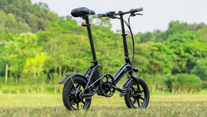 FIIDO D3 PRO Electric Bike with mudguard and light-Vostro Cycles