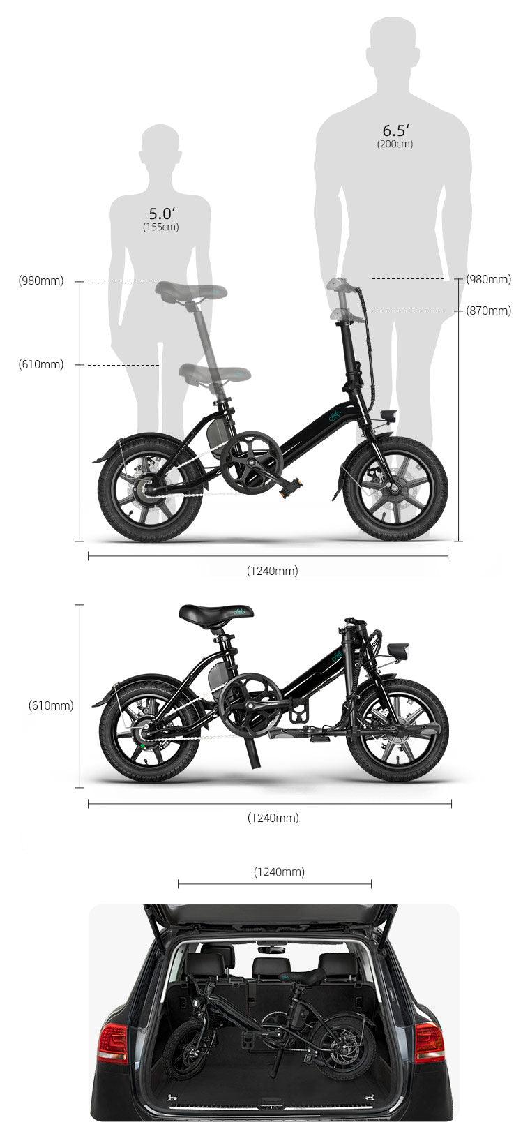 FIIDO D3 PRO Electric Bike with mudguard and light-Vostro Cycles