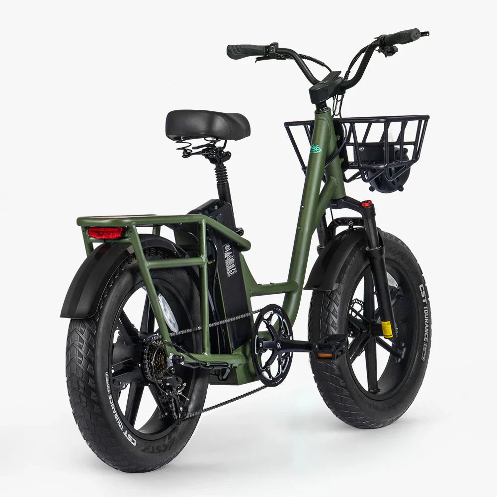 FIIDO T1 pro v2 upgraded Cargo Electric Bike-Vostro Cycles