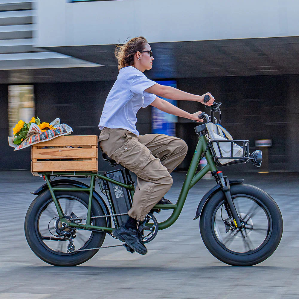 FIIDO T1 pro v2 upgraded Cargo Electric Bike-Vostro Cycles