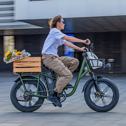 FIIDO T1 pro v2 upgraded Cargo Electric Bike-Vostro Cycles