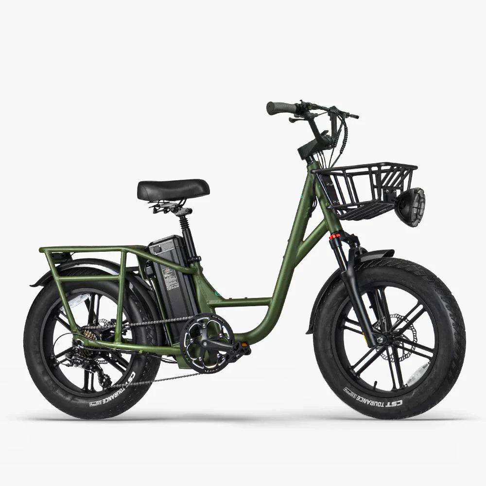 FIIDO T1 pro v2 upgraded Cargo Electric Bike-Vostro Cycles