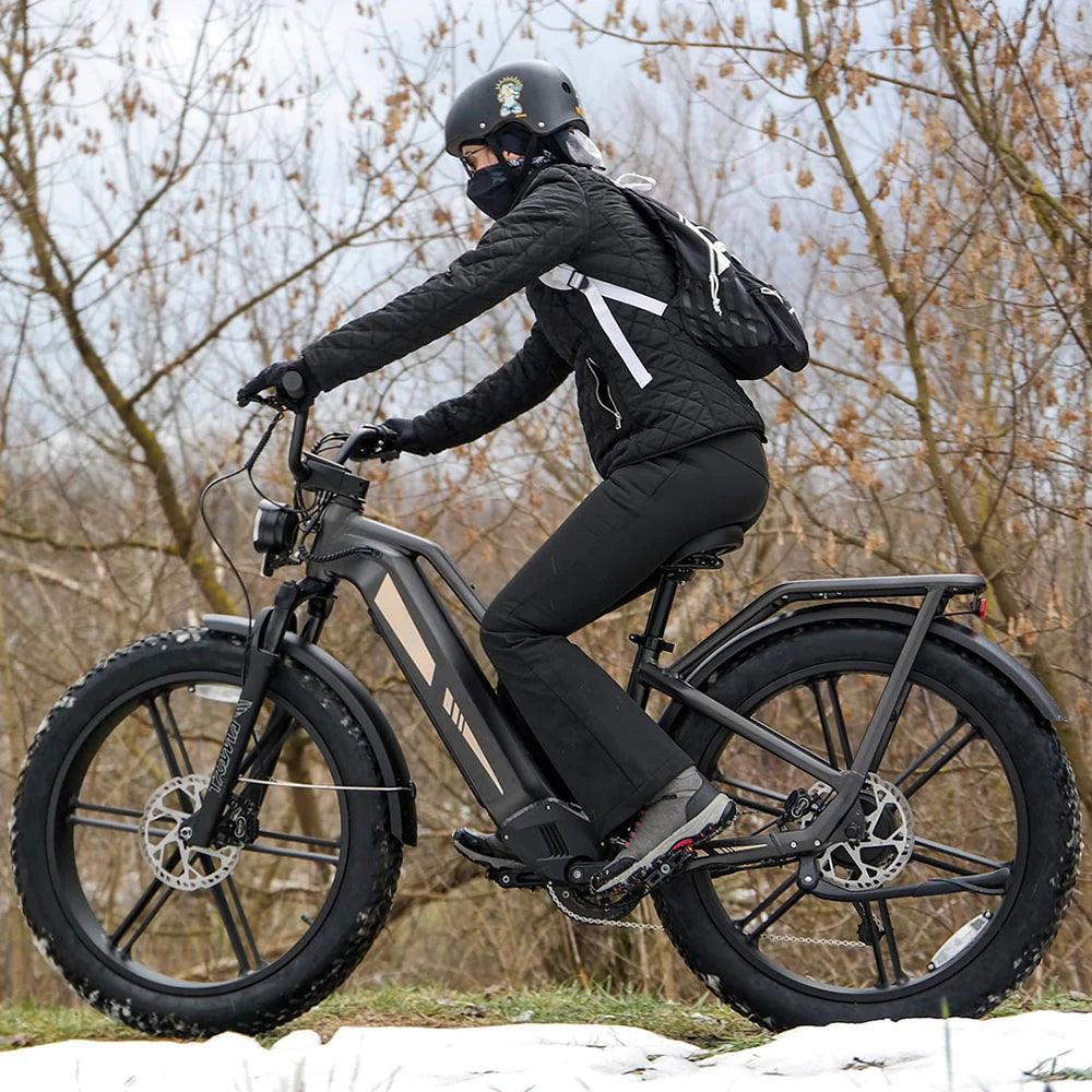 Fiido Titan Robust Cargo Electric Bike-Vostro Cycles