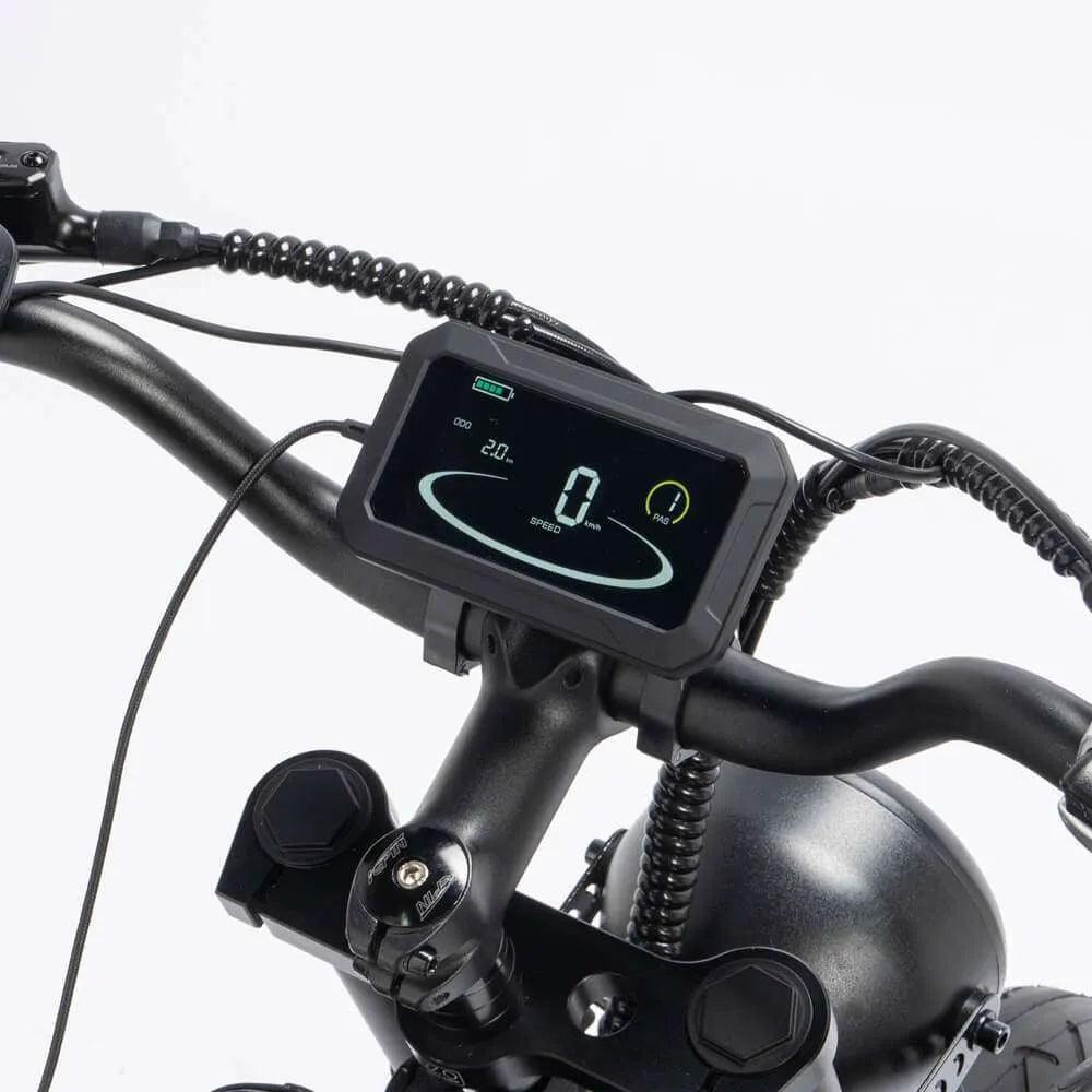 YVY C20 Max Electric Bike