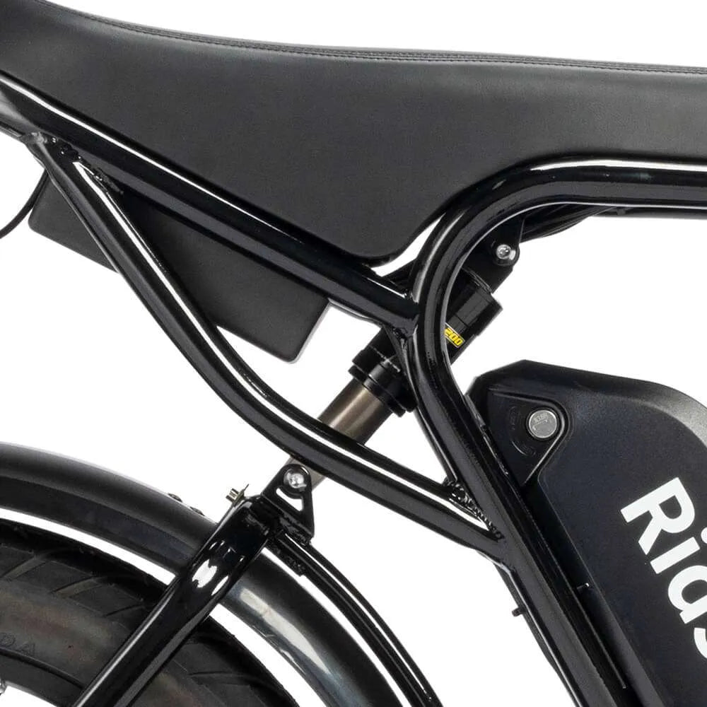 Ridstar Q20 Pro Electric Bike-Vostro Cycles